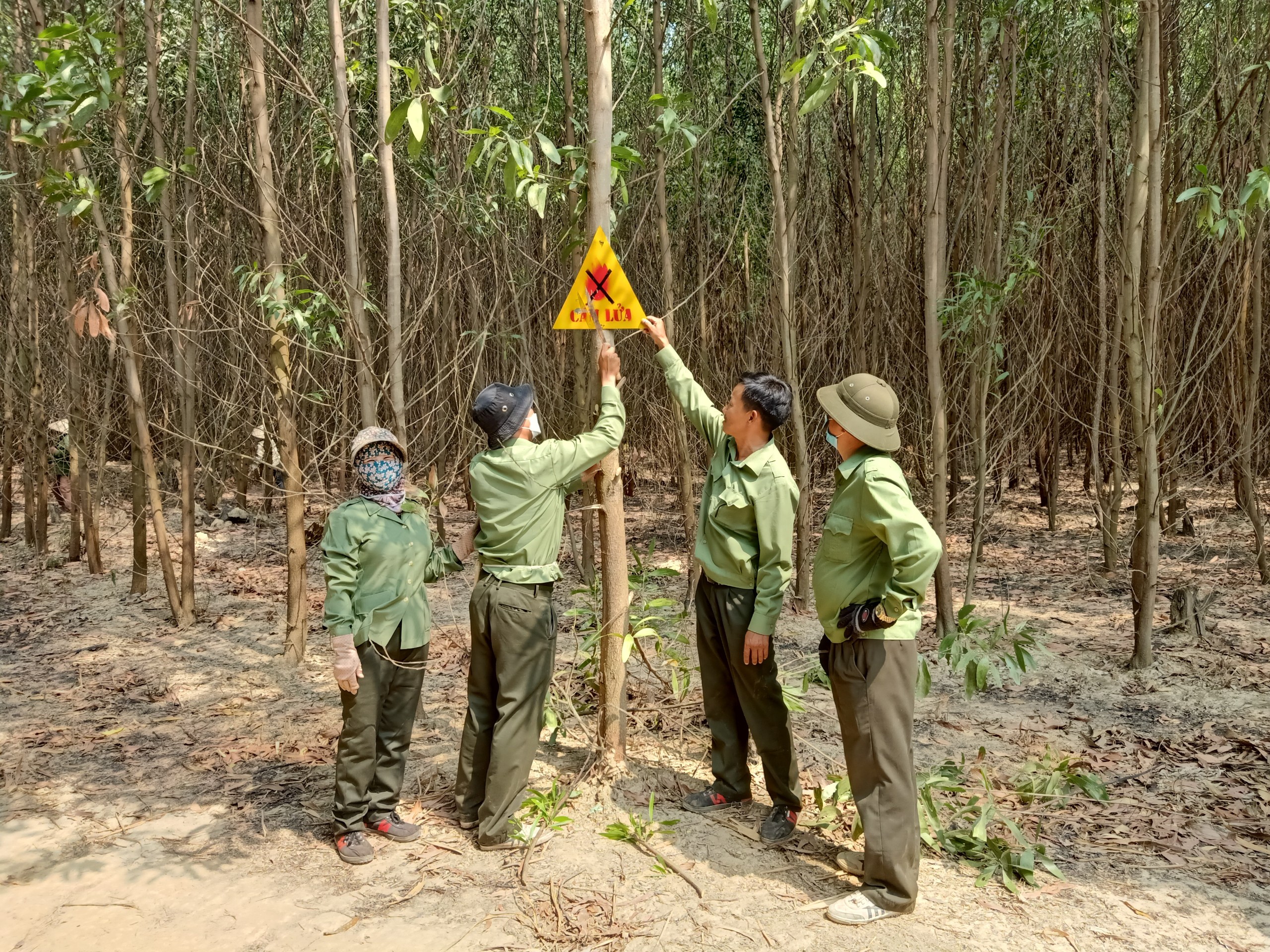 Công ty TNHH MTV Lâm nghiệp Krông Bông tăng cường công tác phòng cháy chữa cháy rừng trong mùa khô